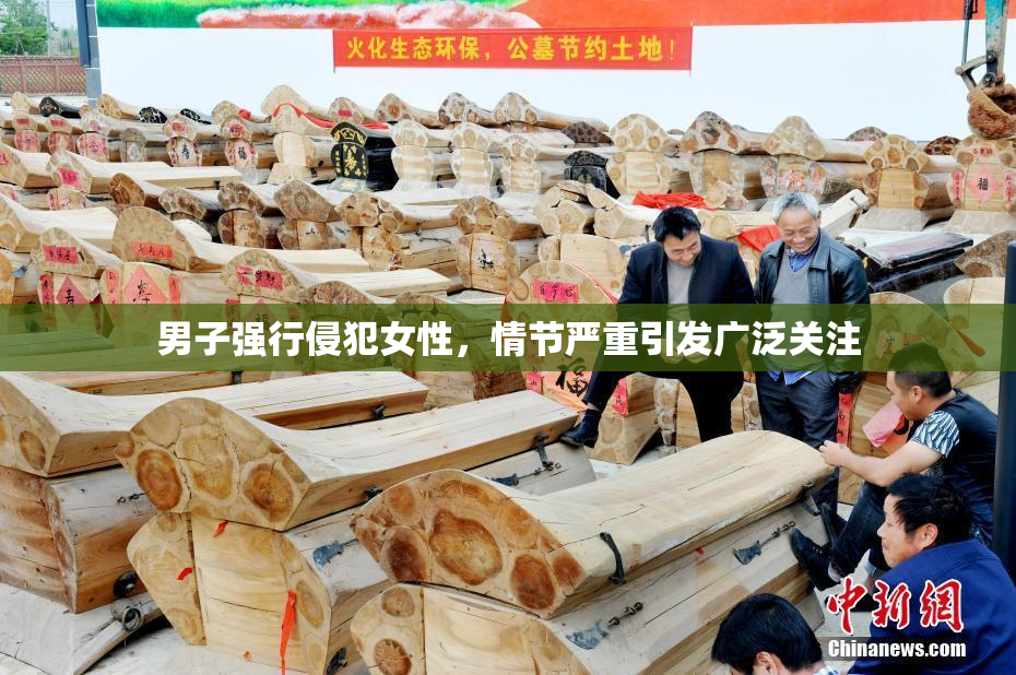 男子强行侵犯女性，情节严重引发广泛关注