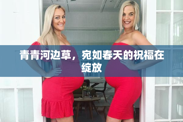 青青河边草，宛如春天的祝福在绽放