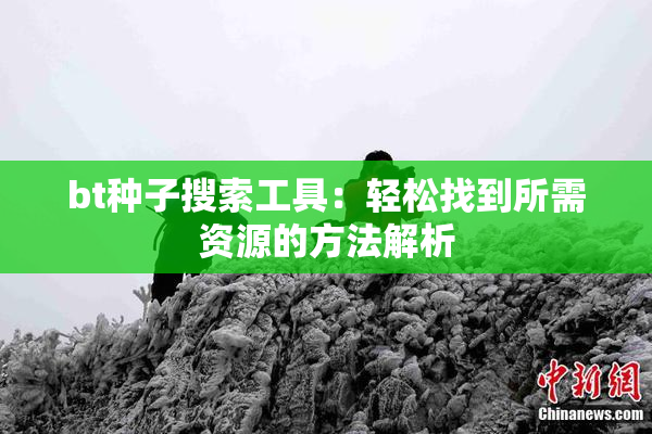 bt种子搜索工具：轻松找到所需资源的方法解析