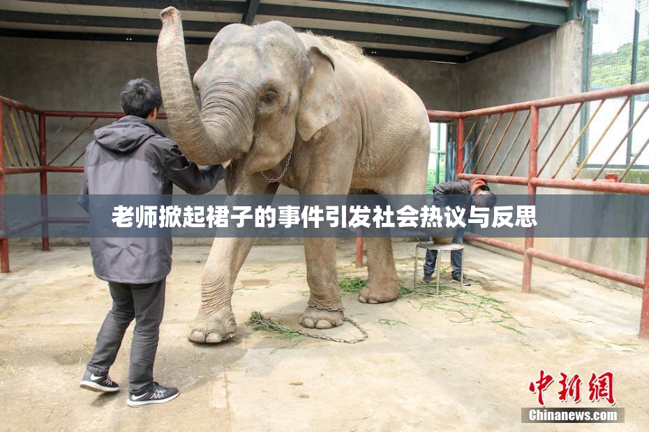 老师掀起裙子的事件引发社会热议与反思