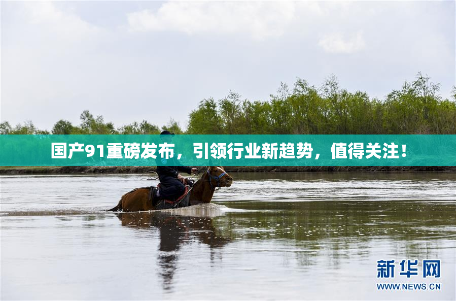 国产91重磅发布，引领行业新趋势，值得关注！