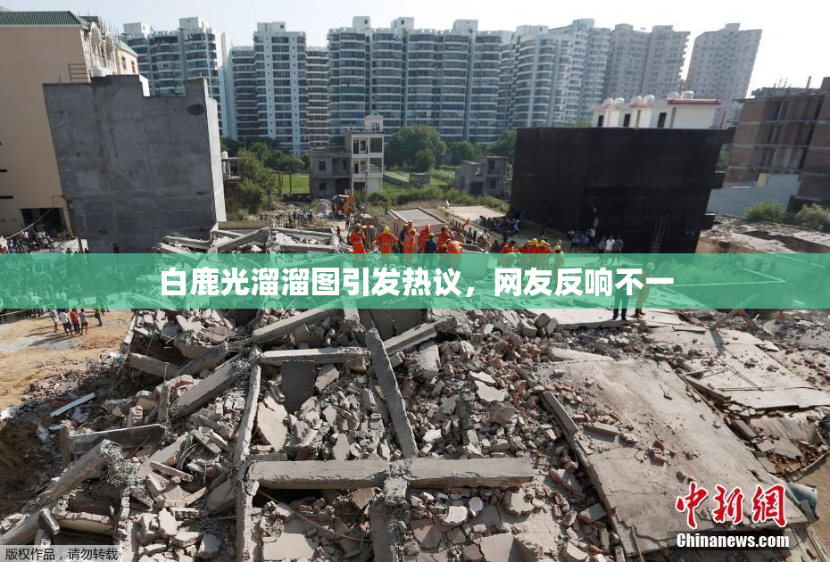 白鹿光溜溜图引发热议，网友反响不一