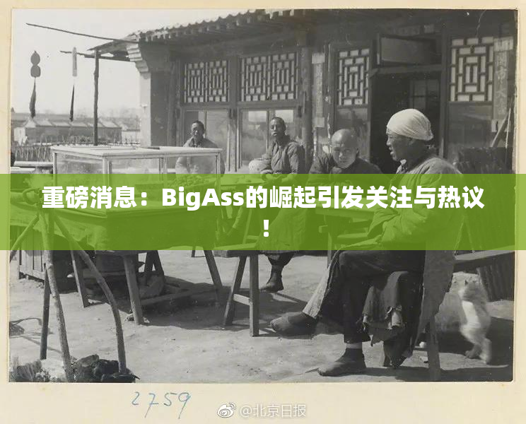 重磅消息：BigAss的崛起引发关注与热议！