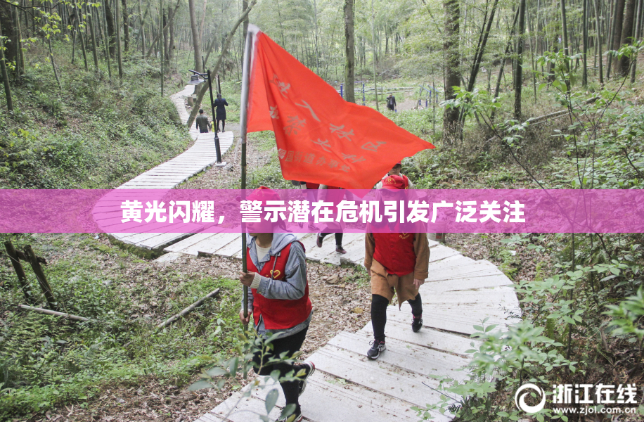 黄光闪耀，警示潜在危机引发广泛关注