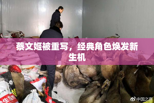 蔡文姬被重写，经典角色焕发新生机