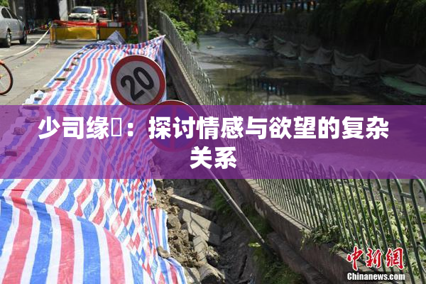 少司缘婬：探讨情感与欲望的复杂关系