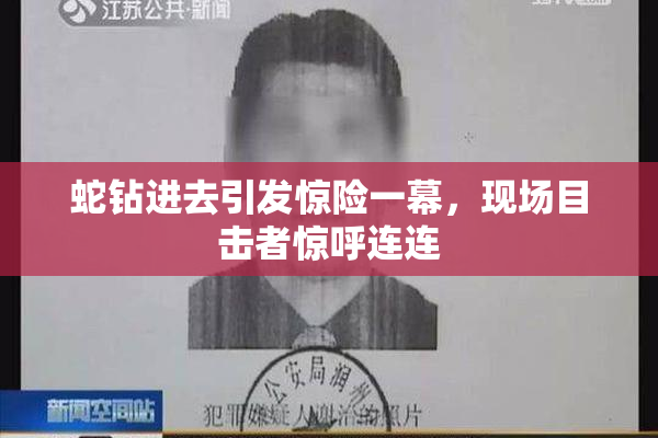 蛇钻进去引发惊险一幕，现场目击者惊呼连连