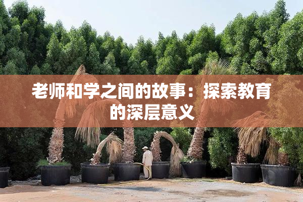 老师和学之间的故事：探索教育的深层意义