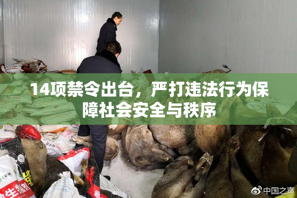 14项禁令出台，严打违法行为保障社会安全与秩序