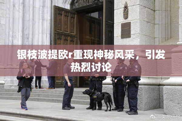 银枝波提欧r重现神秘风采，引发热烈讨论