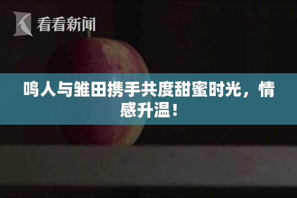鸣人与雏田携手共度甜蜜时光，情感升温！