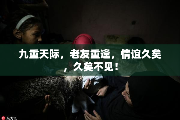 九重天际，老友重逢，情谊久矣，久矣不见！