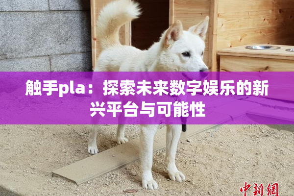 触手pla：探索未来数字娱乐的新兴平台与可能性