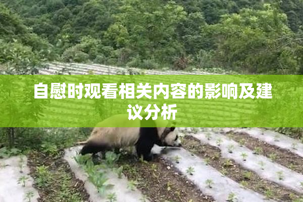 自慰时观看相关内容的影响及建议分析