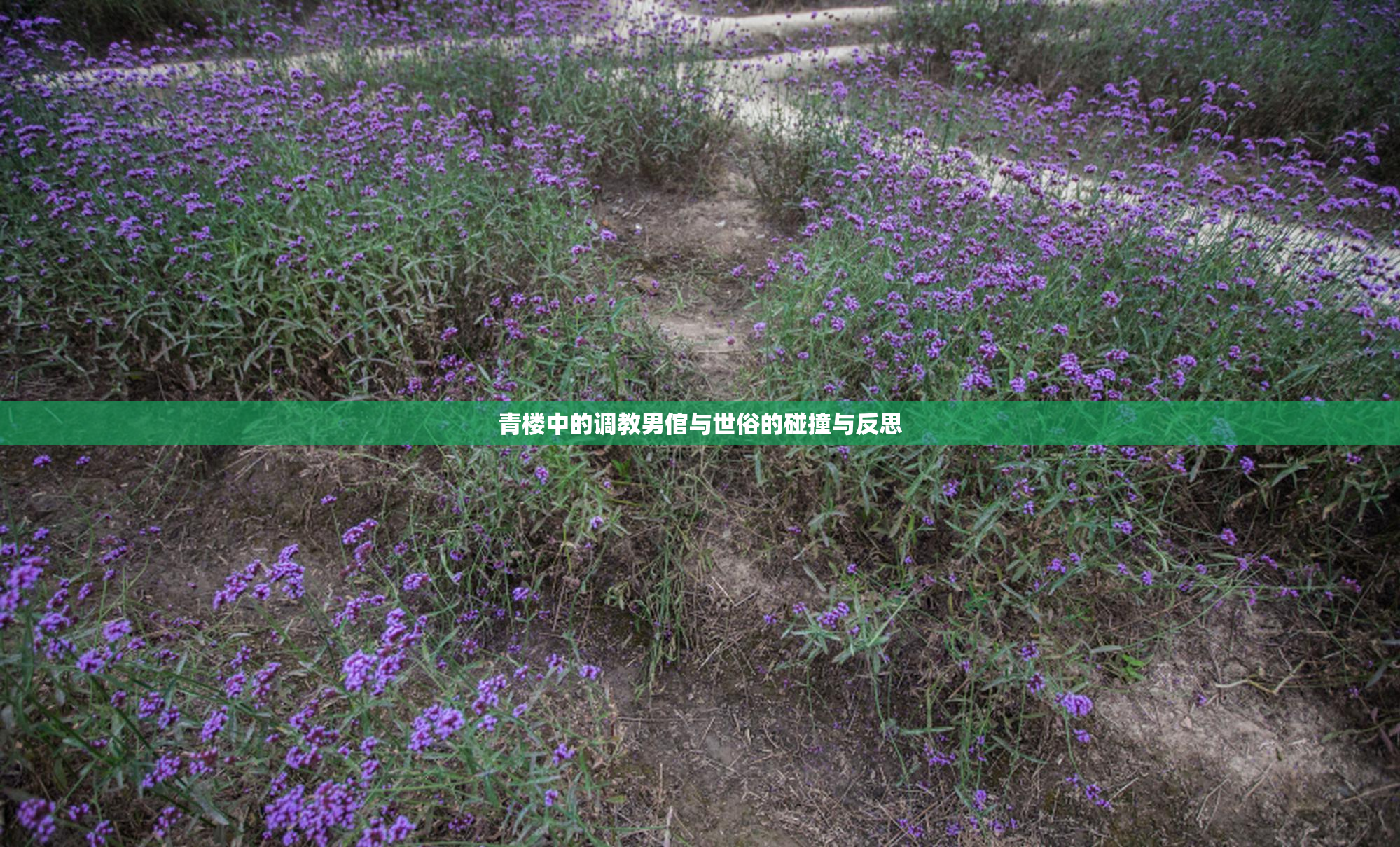青楼中的调教男倌与世俗的碰撞与反思