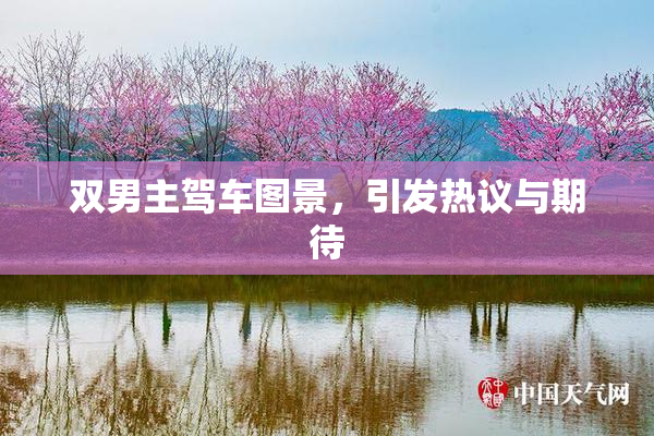 双男主驾车图景，引发热议与期待
