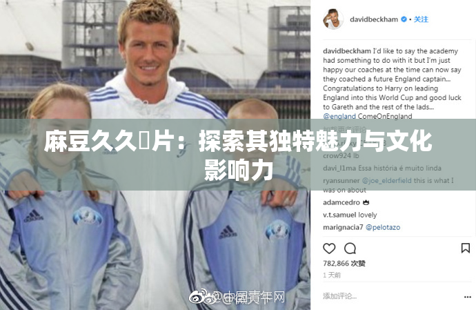 麻豆久久婬片：探索其独特魅力与文化影响力