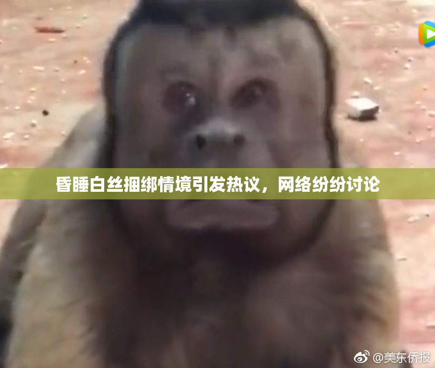 昏睡白丝捆绑情境引发热议，网络纷纷讨论