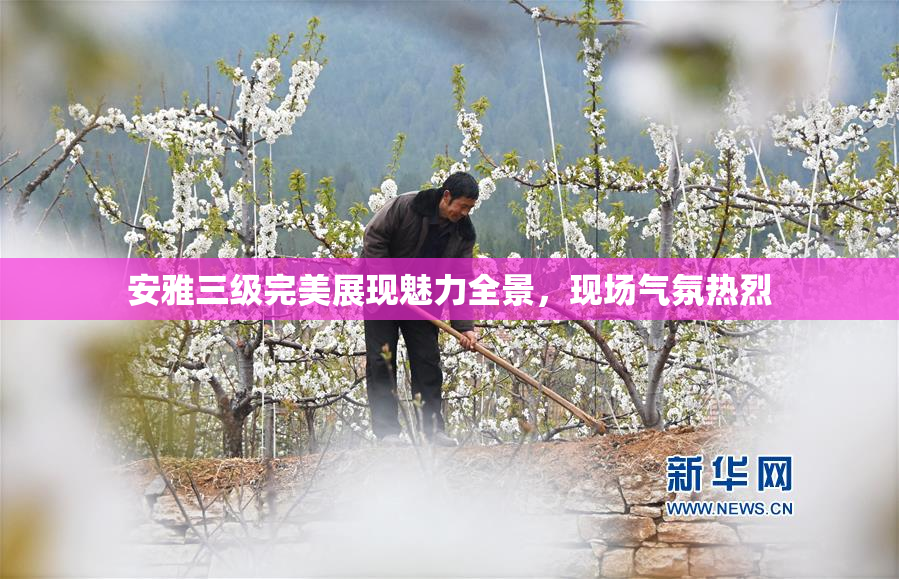 安雅三级完美展现魅力全景，现场气氛热烈