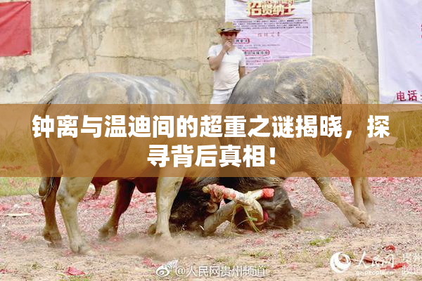 钟离与温迪间的超重之谜揭晓，探寻背后真相！