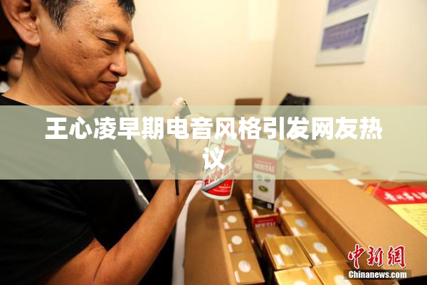 王心凌早期电音风格引发网友热议