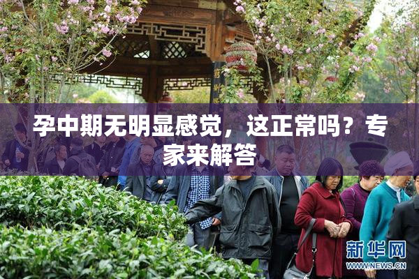 孕中期无明显感觉，这正常吗？专家来解答