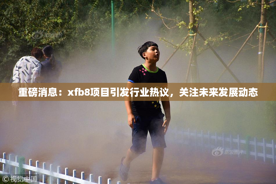重磅消息：xfb8项目引发行业热议，关注未来发展动态