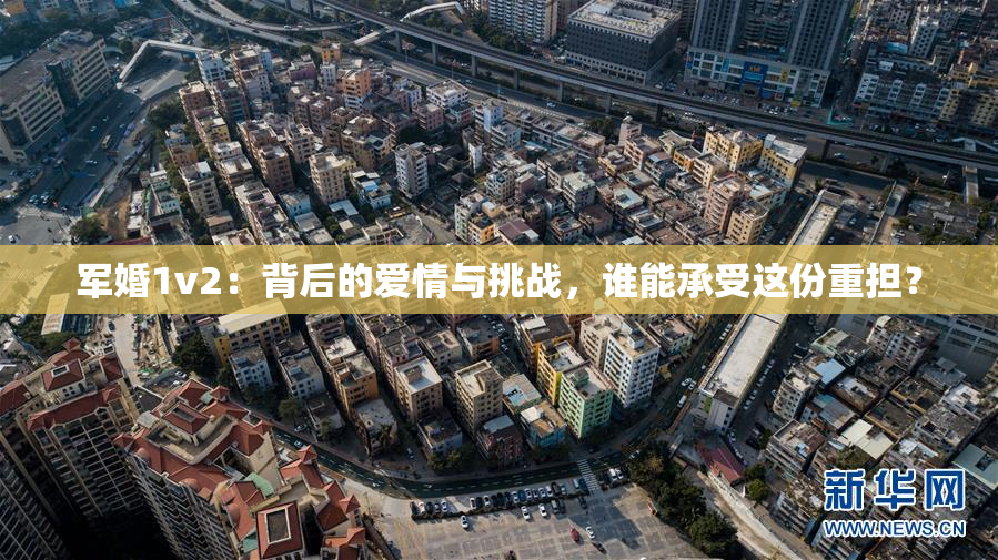 军婚1v2：背后的爱情与挑战，谁能承受这份重担？