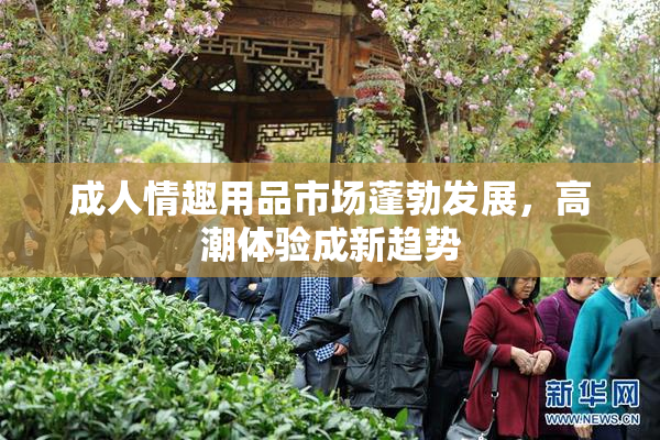 成人情趣用品市场蓬勃发展，高潮体验成新趋势