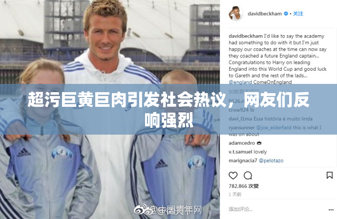 超污巨黄巨肉引发社会热议，网友们反响强烈