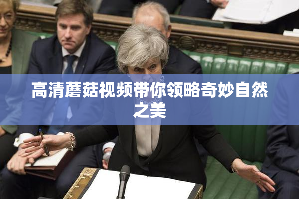 高清蘑菇视频带你领略奇妙自然之美