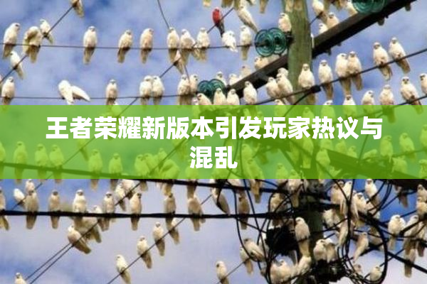 王者荣耀新版本引发玩家热议与混乱