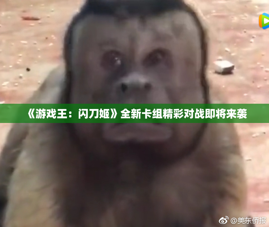《游戏王：闪刀姬》全新卡组精彩对战即将来袭