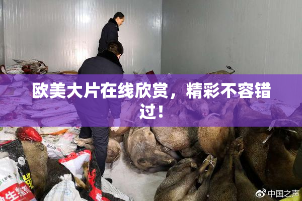 欧美大片在线欣赏，精彩不容错过！