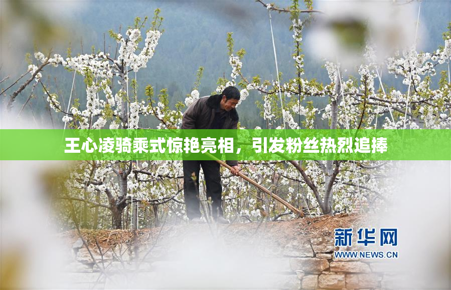 王心凌骑乘式惊艳亮相，引发粉丝热烈追捧