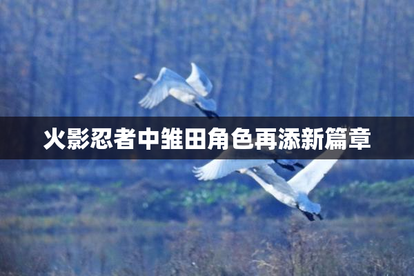 火影忍者中雏田角色再添新篇章