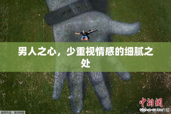 男人之心，少重视情感的细腻之处