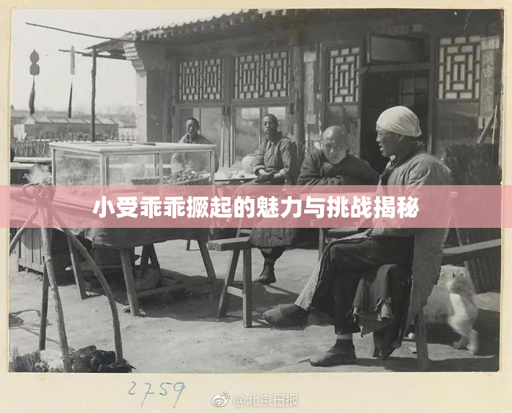 小受乖乖撅起的魅力与挑战揭秘