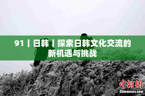 91丨日韩丨探索日韩文化交流的新机遇与挑战