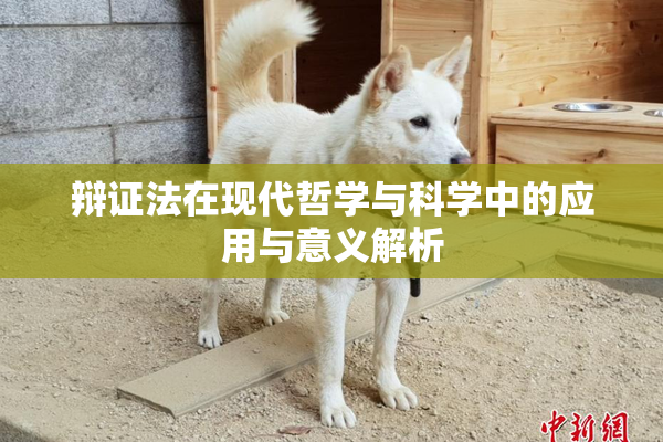 辩证法在现代哲学与科学中的应用与意义解析