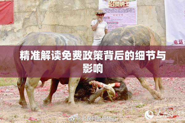 精准解读免费政策背后的细节与影响