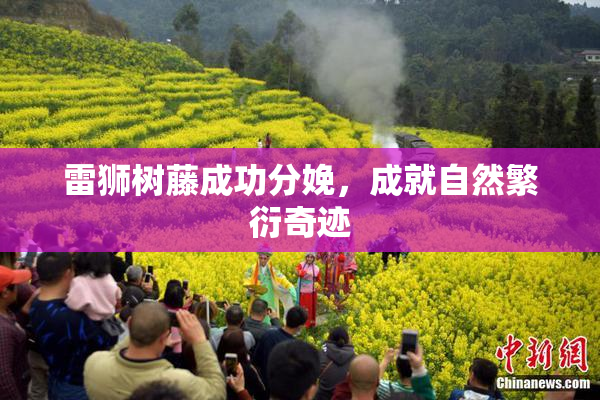 雷狮树藤成功分娩，成就自然繁衍奇迹