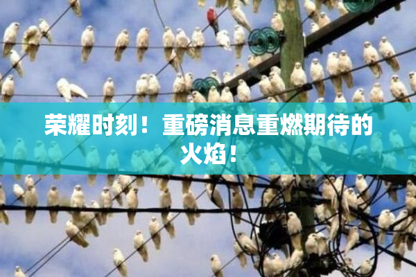 荣耀时刻！重磅消息重燃期待的火焰！