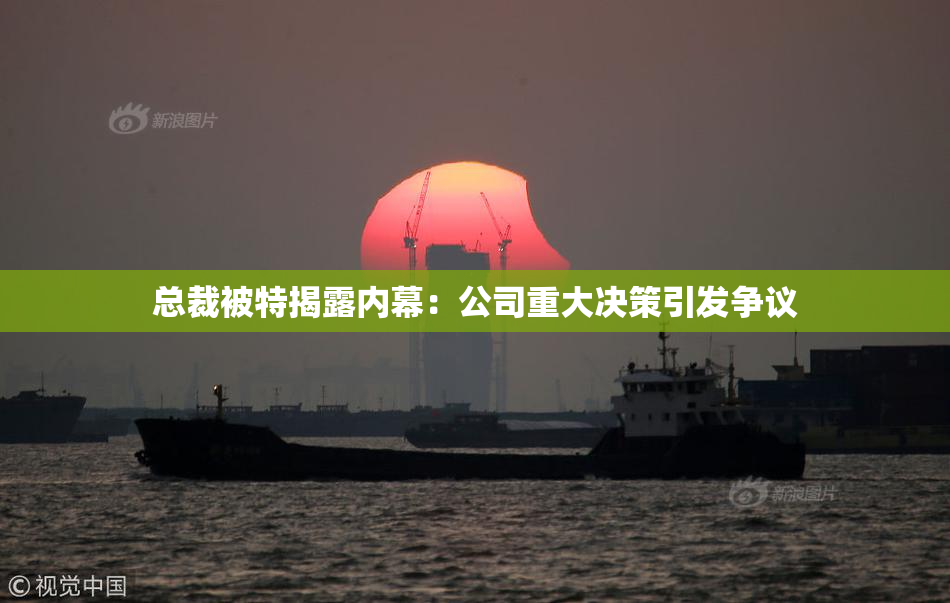 总裁被特揭露内幕：公司重大决策引发争议
