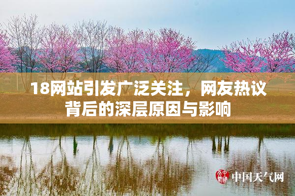18网站引发广泛关注，网友热议背后的深层原因与影响