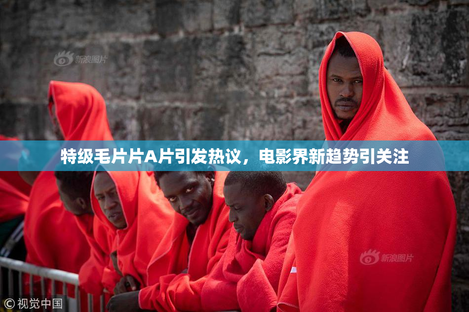 特级毛片片A片引发热议，电影界新趋势引关注