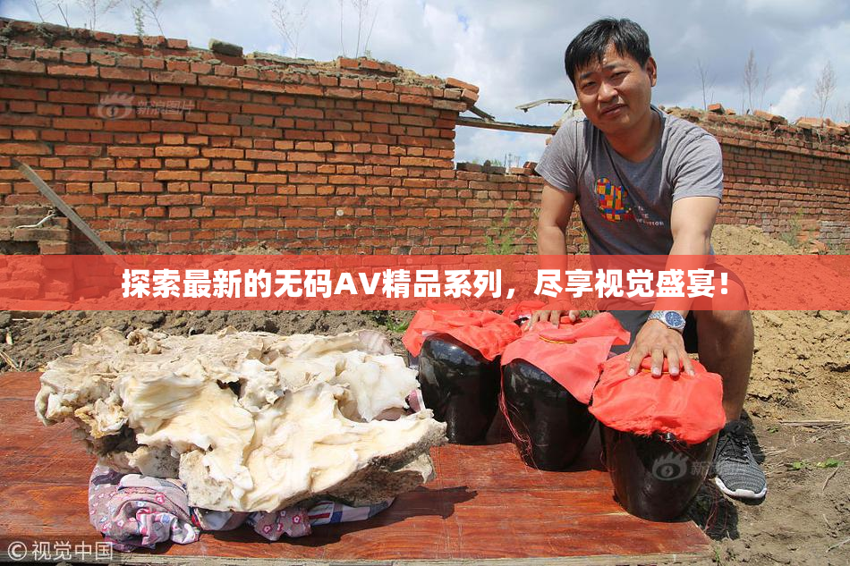 探索最新的无码AV精品系列，尽享视觉盛宴！