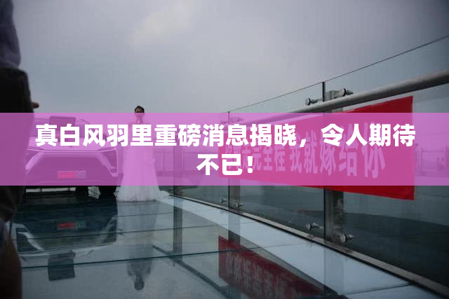 真白风羽里重磅消息揭晓，令人期待不已！