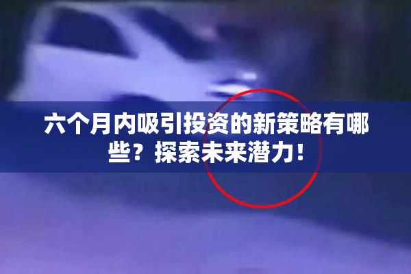 六个月内吸引投资的新策略有哪些？探索未来潜力！