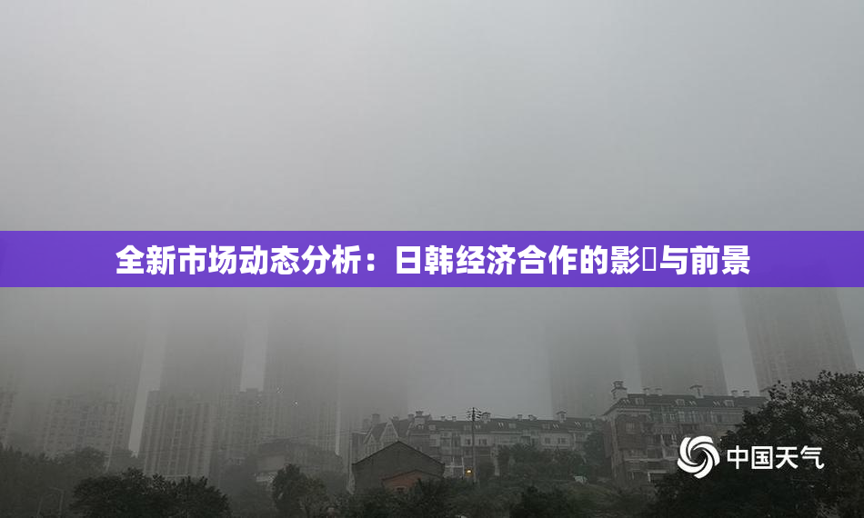 全新市场动态分析：日韩经济合作的影響与前景